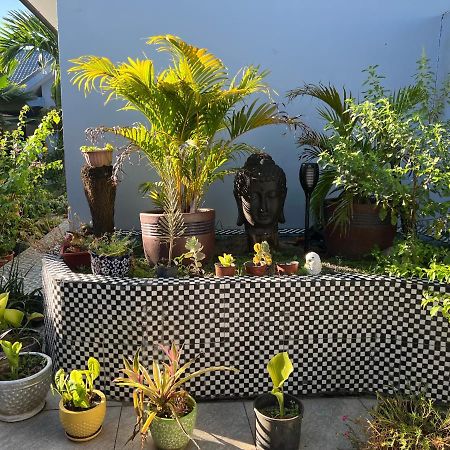 Pasifika Guesthouse Nadi Eksteriør billede